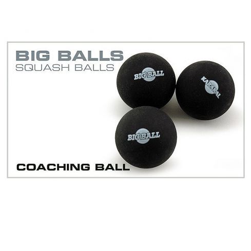 Karakal BIGbal Trainingsbal 